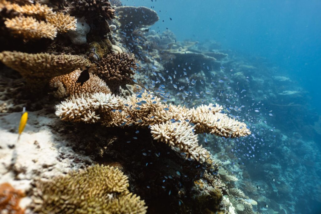 Cairns, Australia